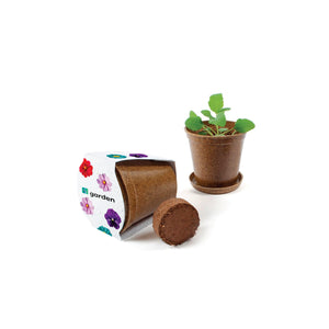 Mini Planting Kit with Seed Paper Wrap